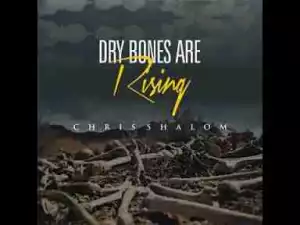 Video: Chris Shalom – Dry Bones Are Rising